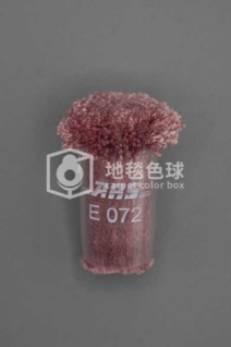 ARS E072