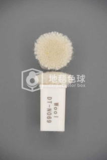 DT N069