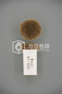 DT 022