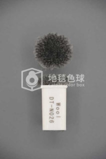 DT N026