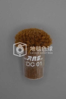 ARS DC01