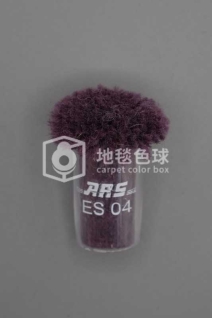 ARS ES04