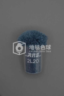 ARS 2L20