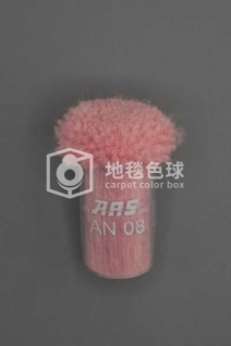 ARS AN08