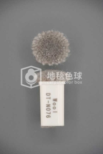 DT N076