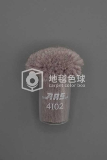 ARS 4I02