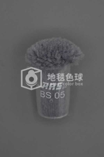 ARS BS05