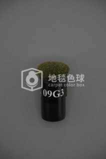 09G3