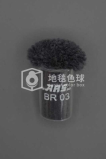 ARS BR03