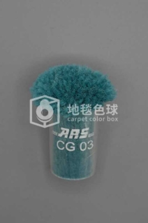 ARS CG03