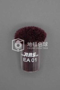 ARS EA01