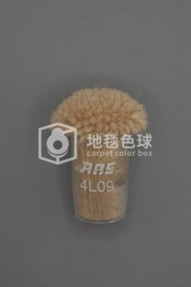 ARS 4L09
