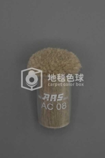 ARS AC08
