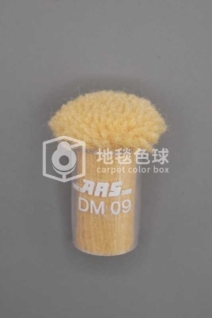 ARS DM09