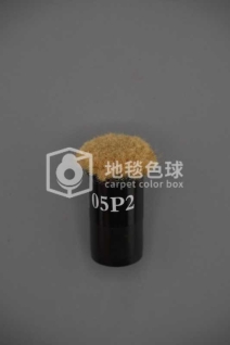05P2