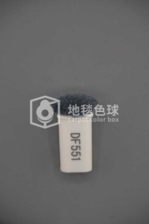 DF551