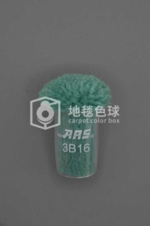 ARS 3B16