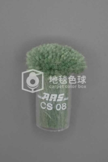 ARS CS08