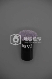 05V5