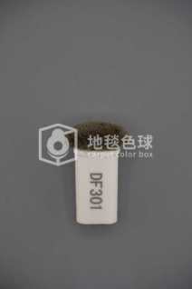 DF301