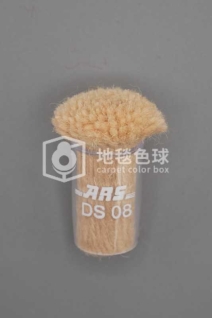 ARS DS08