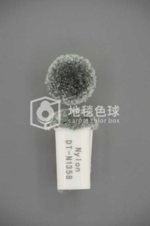 DT N1358