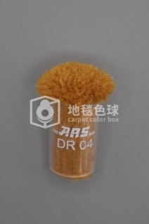 ARS DR04