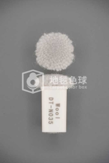 DT N035
