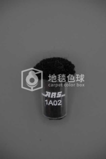 ARS 1A02