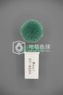 DT N594