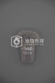 ARS 1D19