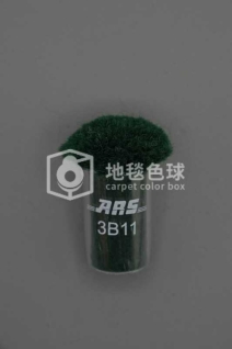 ARS 3B11