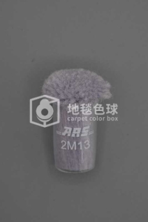 ARS 2M13