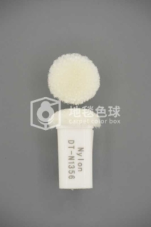 DT N1356