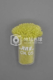 ARS CK05