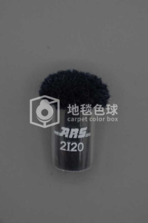 ARS 2I20