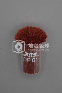 ARS DP01
