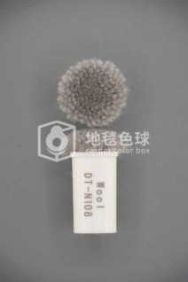 DT N108