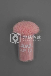 ARS AP10