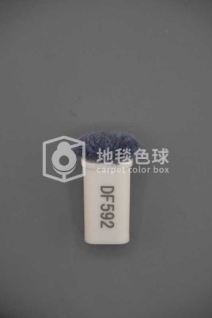 DF592
