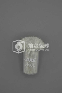 ARS 2N06