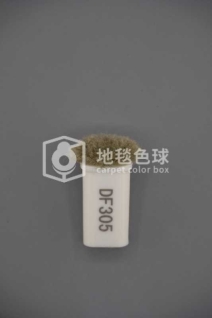 DF305
