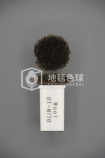 DT N170