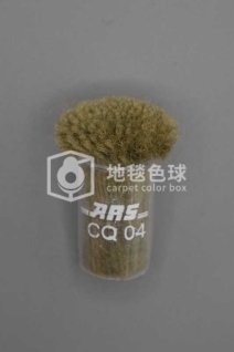 ARS CQ04