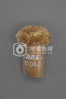 ARS C062