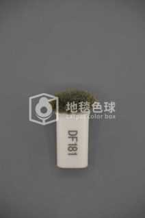 DF181