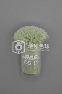 ARS CS11