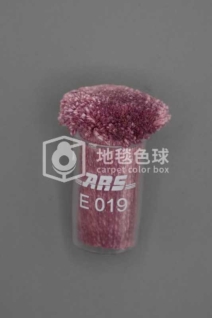 ARS E019
