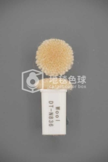 DT N836