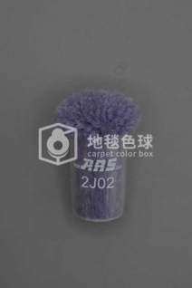ARS 2J02
